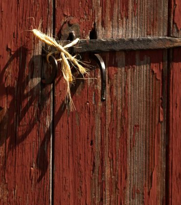 danielle-claude-belanger-PQi-ydEYVBo-unsplash